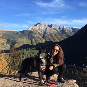 Meet your Posher, Sammy